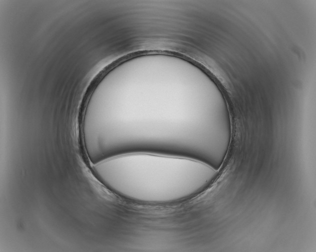 X0000111480980200907141039