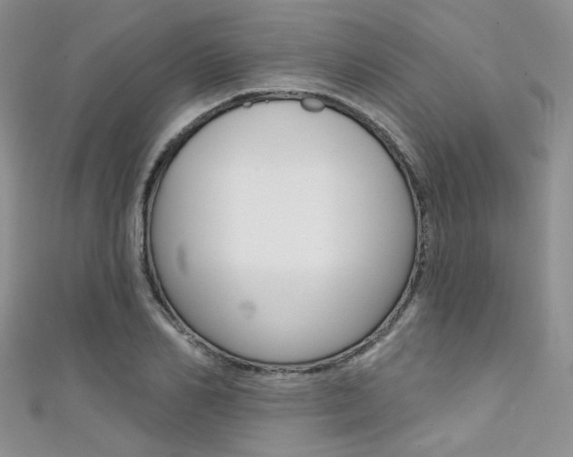X0000111480982200907141039