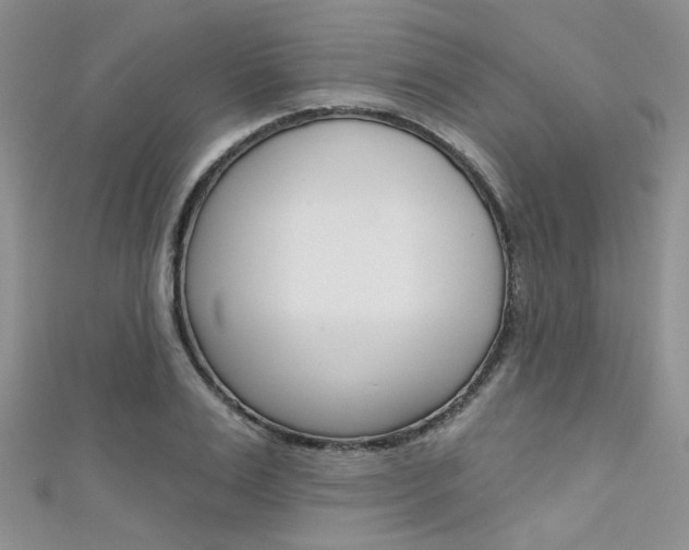 X0000111480983200907141039