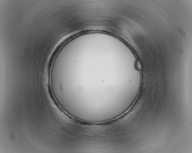 X0000111480984200907141039