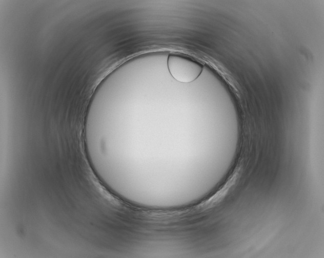 X0000111480985200907141039