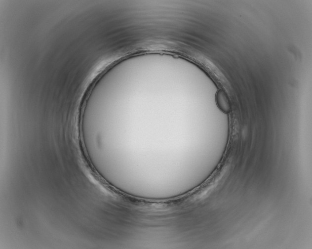 X0000111480986200907141039