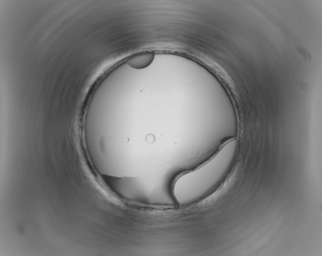 X0000111480989200907141039