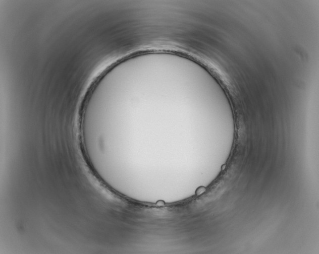 X0000111480990200907141039
