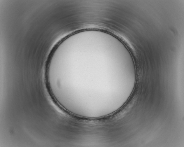 X0000111480991200907141039