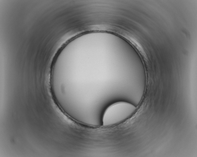 X0000111480992200907141039