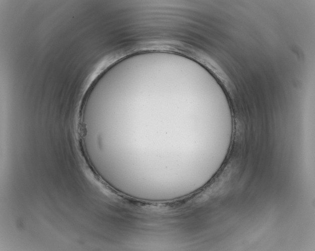 X0000111480994200907141039