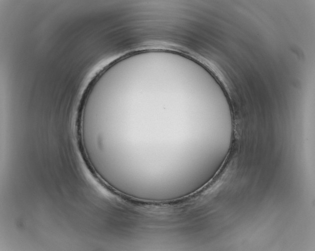 X0000111480995200907141039