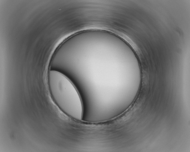 X0000111480996200907141039