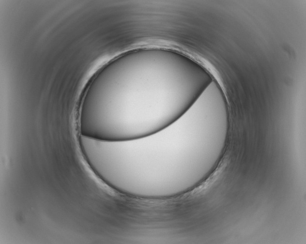 X0000111480997200907141039