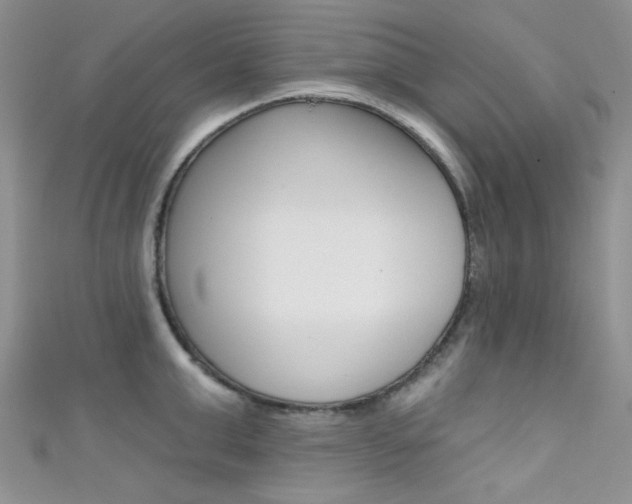 X0000111480999200907141039