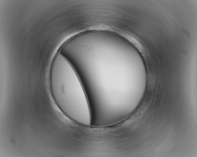 X0000111481000200907141039