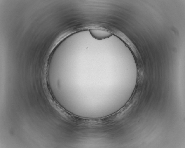X0000111481002200907141039