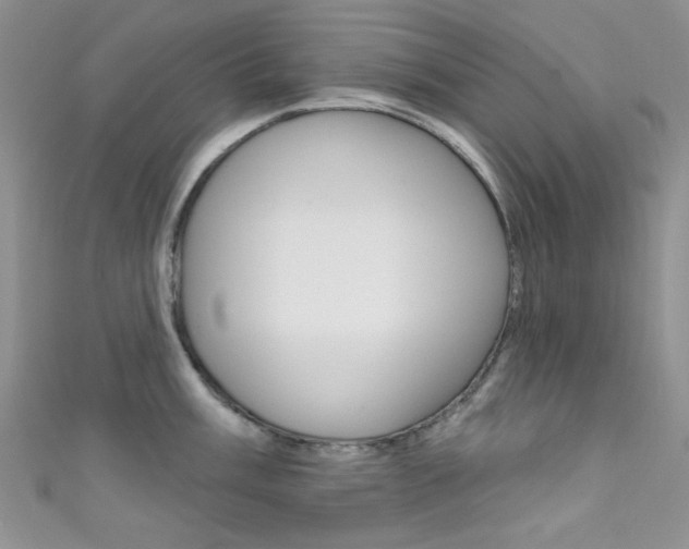 X0000111481003200907141039