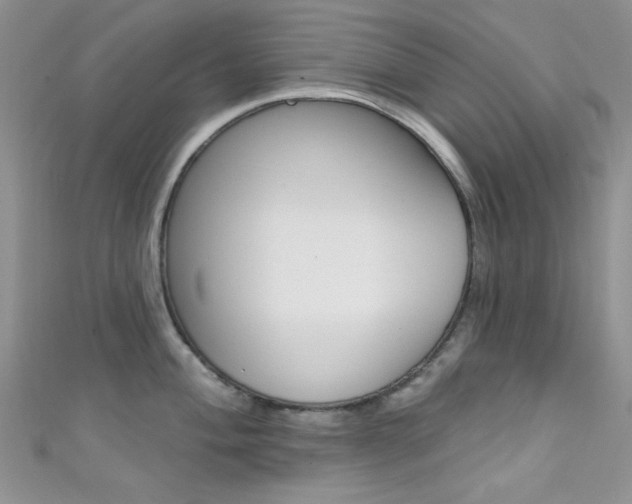 X0000111481004200907141039