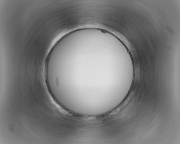X0000111481006200907141039