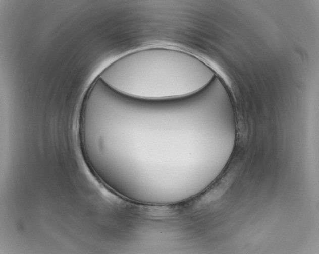 X0000111481007200907141039