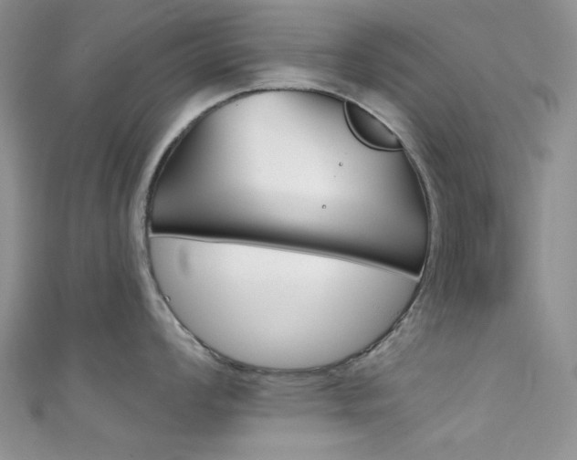 X0000111481008200907141039