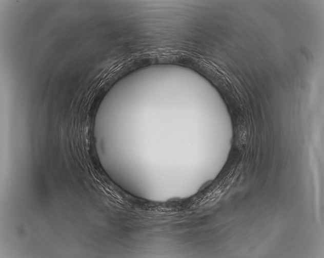 X0000111481010200907141038