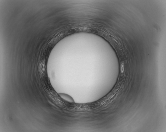 X0000111481011200907141038