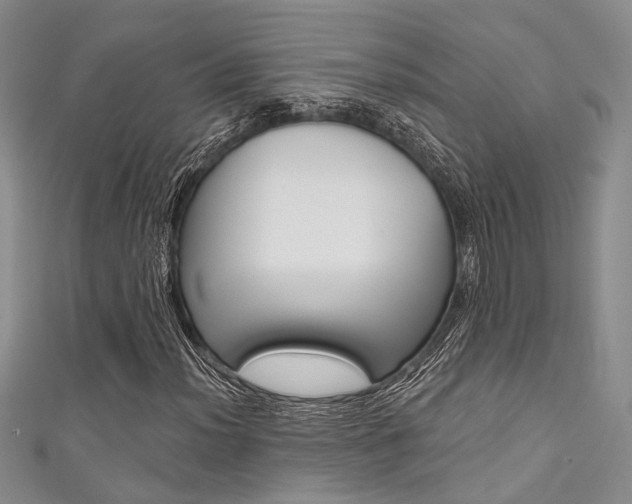 X0000111481012200907141038