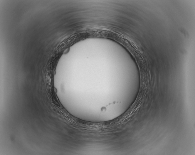 X0000111481013200907141038