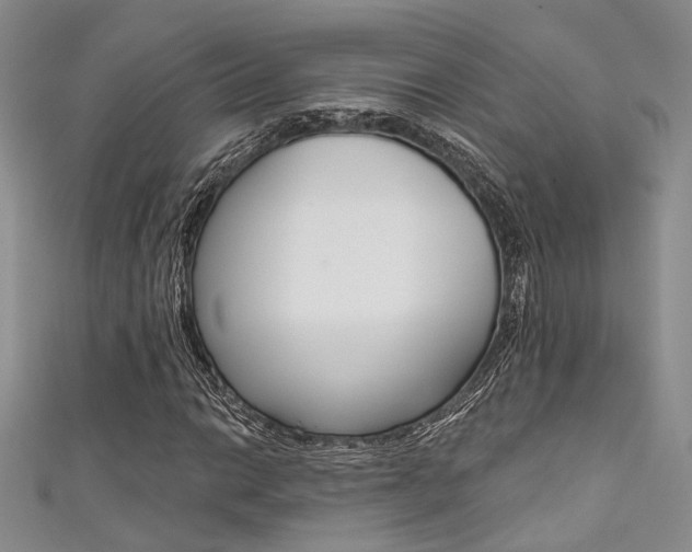 X0000111481014200907141038