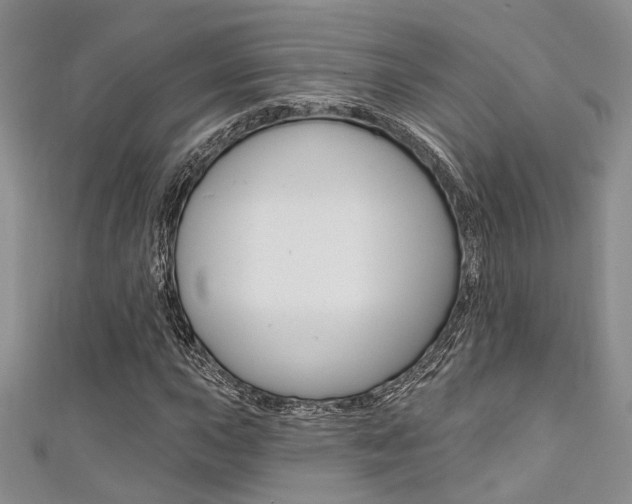 X0000111481015200907141038