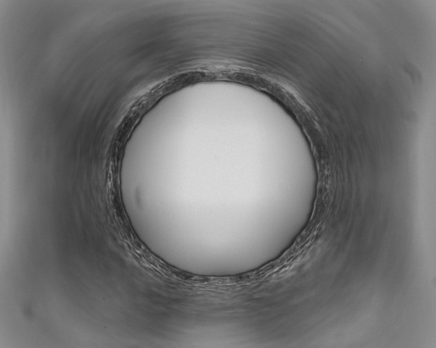 X0000111481016200907141038