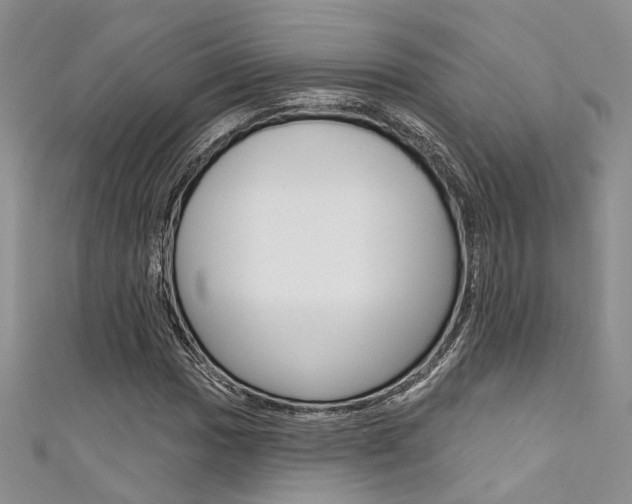 X0000111481017200907141038