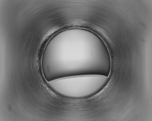 X0000111481018200907141038