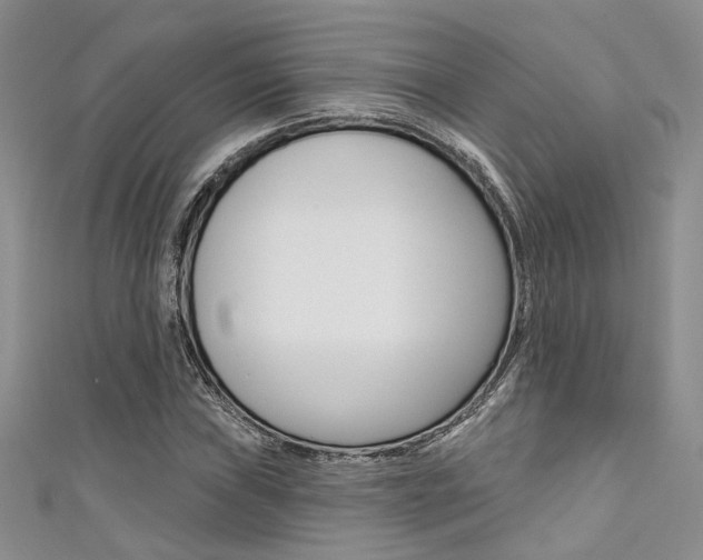 X0000111481019200907141038