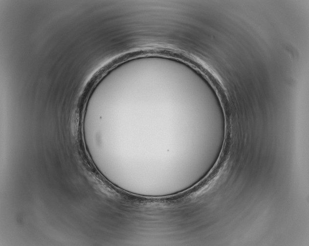 X0000111481021200907141038