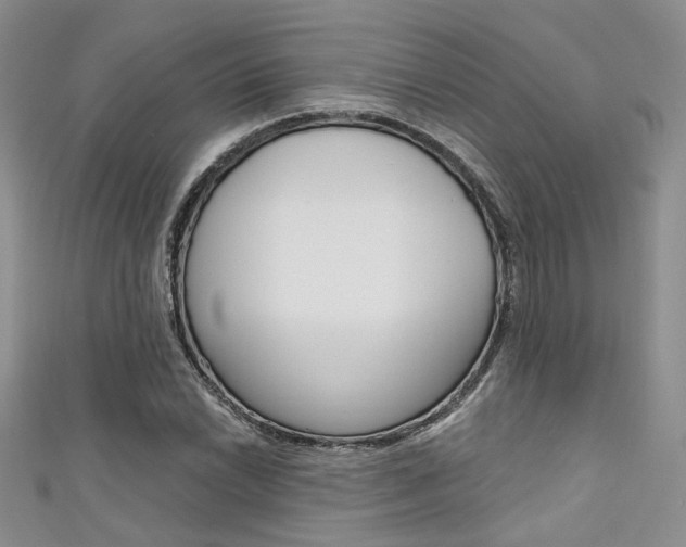 X0000111481022200907141038