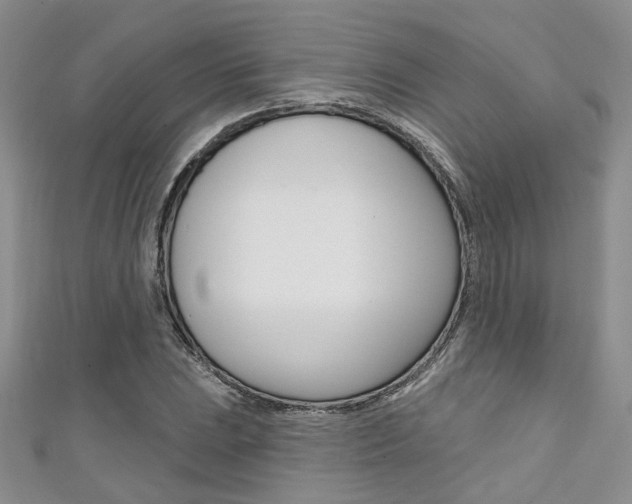 X0000111481023200907141038