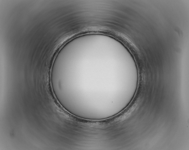 X0000111481025200907141038