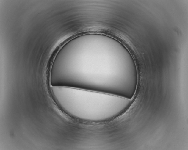 X0000111481026200907141038