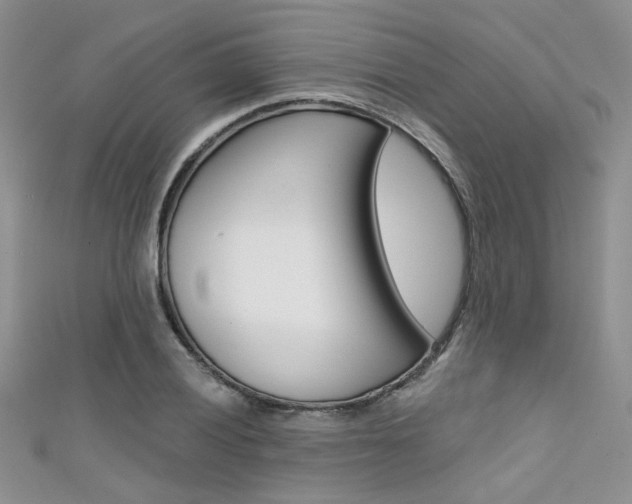 X0000111481028200907141038