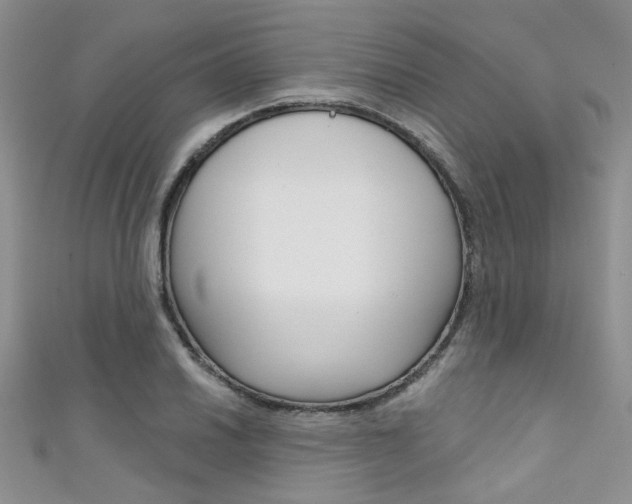 X0000111481030200907141038
