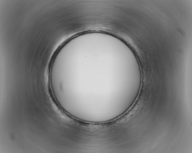 X0000111481032200907141038