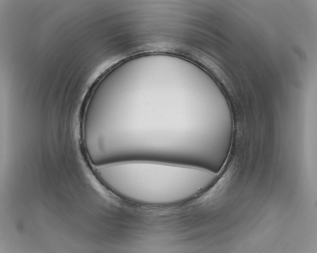 X0000111481034200907141039