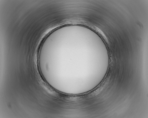 X0000111481035200907141039