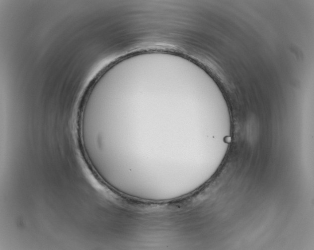X0000111481038200907141039