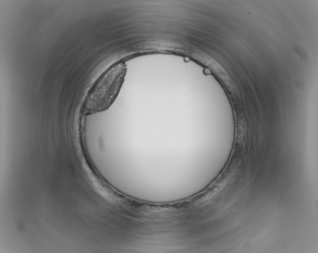 X0000111481039200907141039