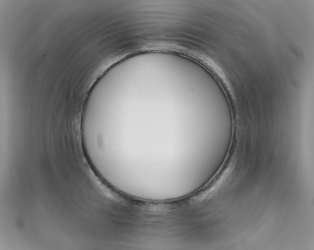 X0000111481041200907141039