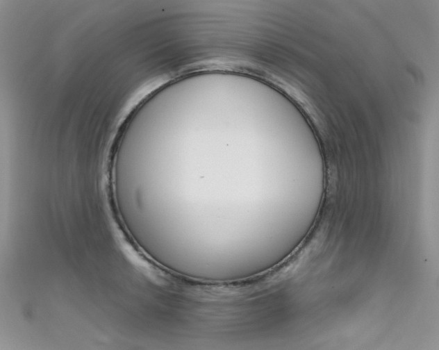 X0000111481042200907141039