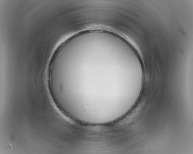 X0000111481045200907141039