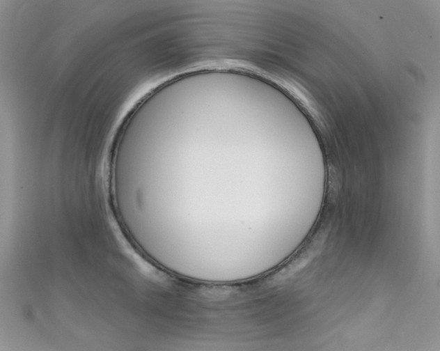 X0000111481046200907141039