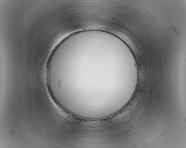 X0000111481047200907141039