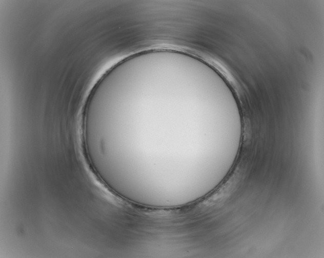 X0000111481048200907141039